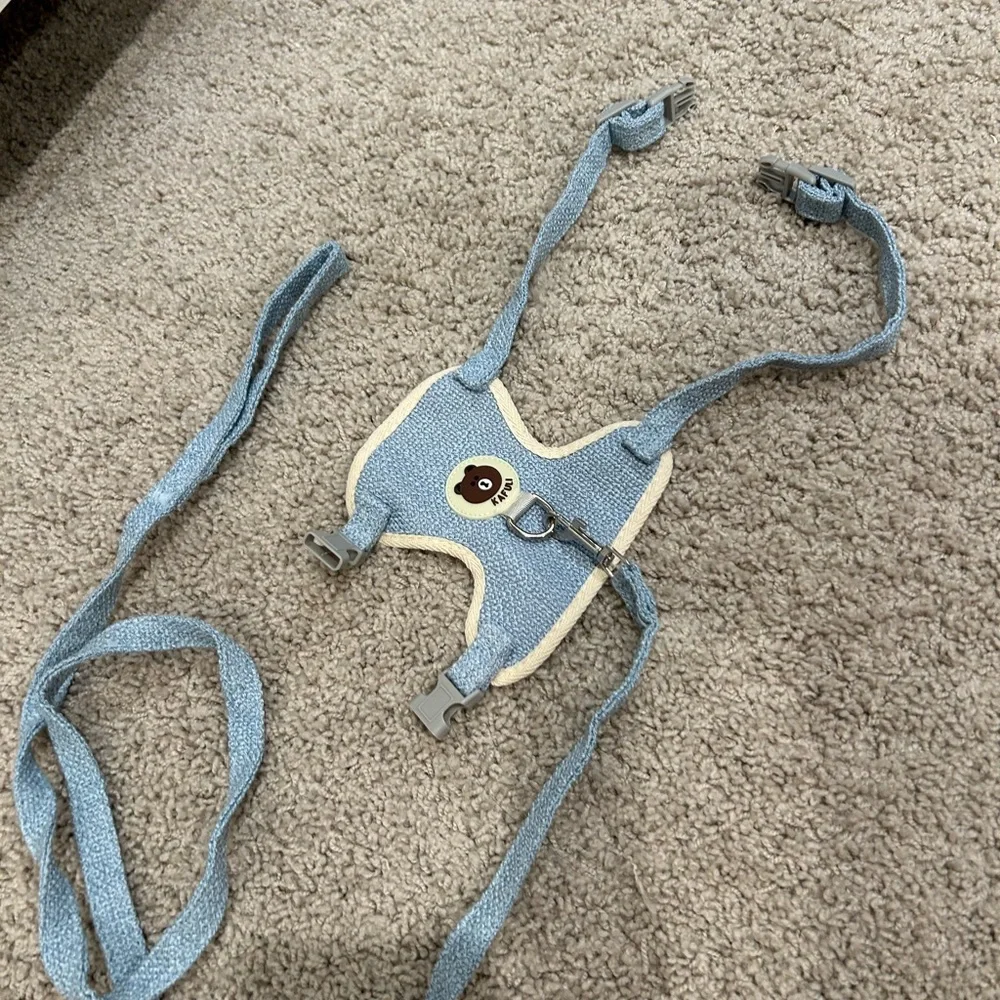 Blue Cat Harness with Leash